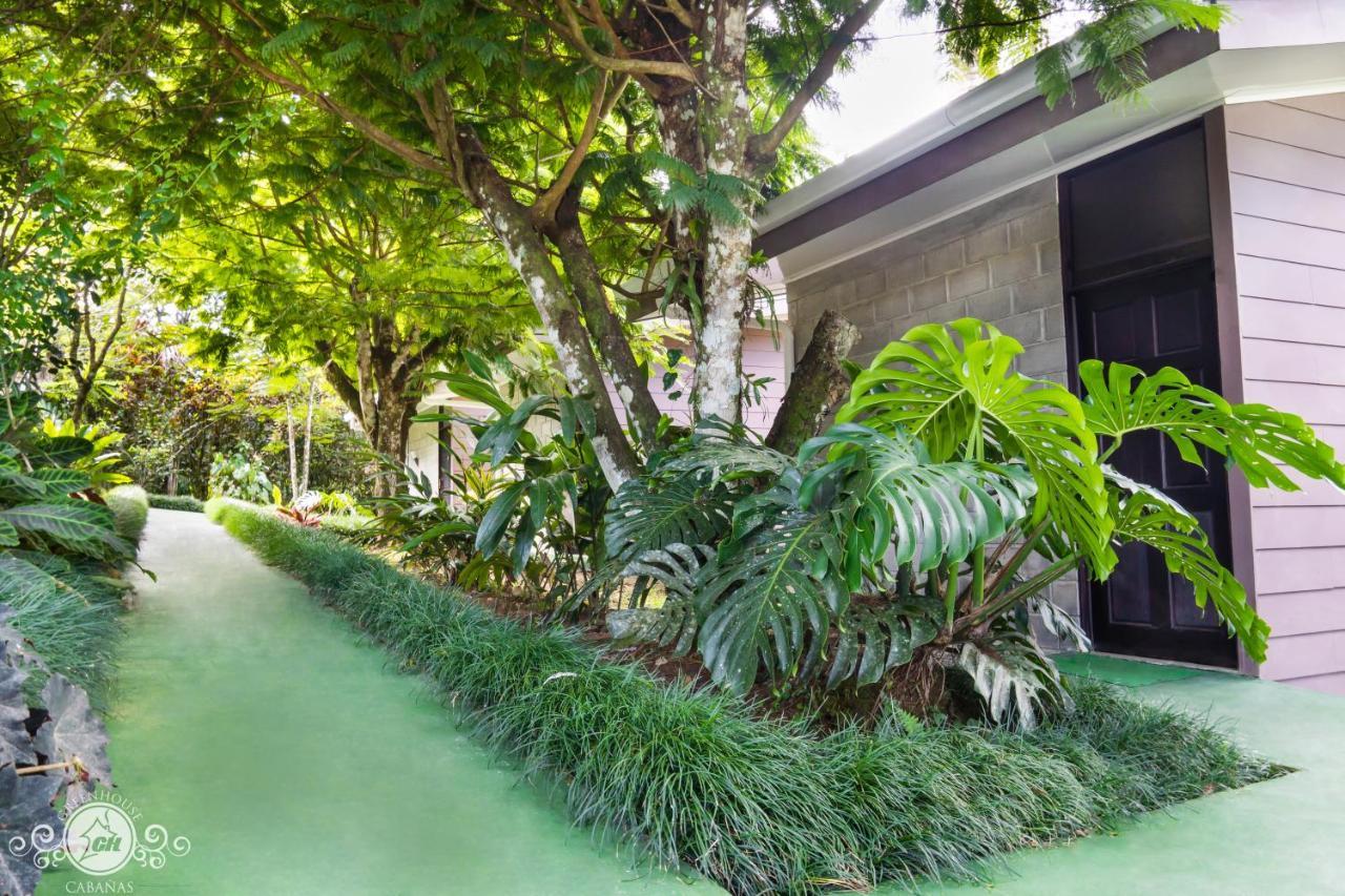 Cabanas Green House San Vito Exteriör bild